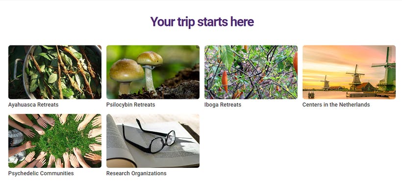 Psychedelic Experience