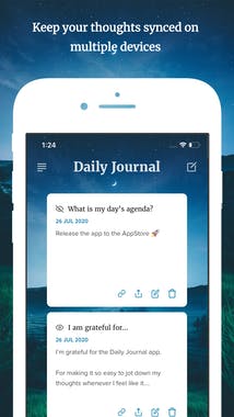Daily Journal