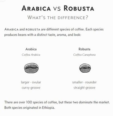 Honest Coffee Guide