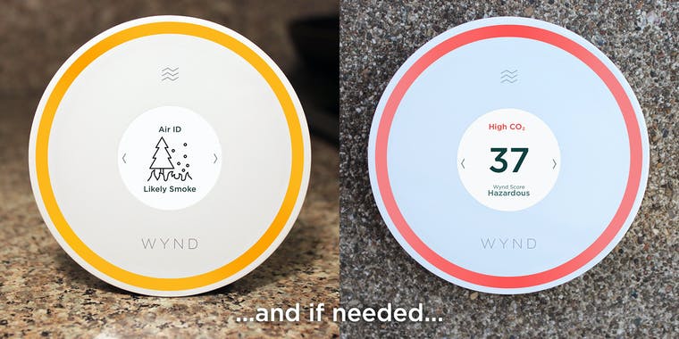 Wynd Halo + Home Purifier