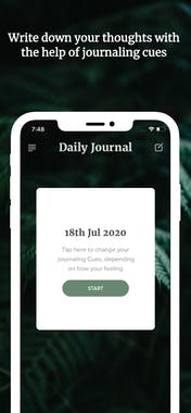 Daily Journal