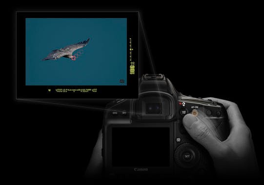 Canon EOS-1D X Mark III