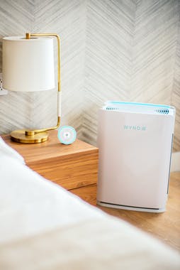 Wynd Halo + Home Purifier